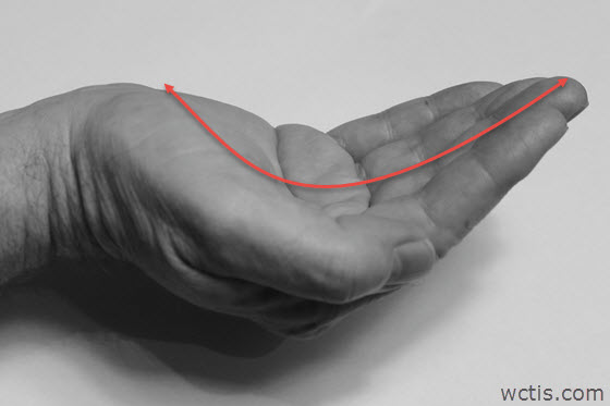 Cup Open Hand