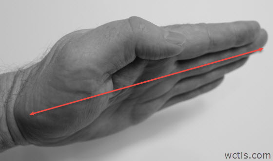 Flat Open Hand