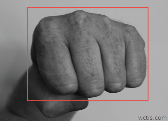 Yang Fist