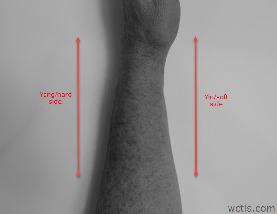 YinYangForearm